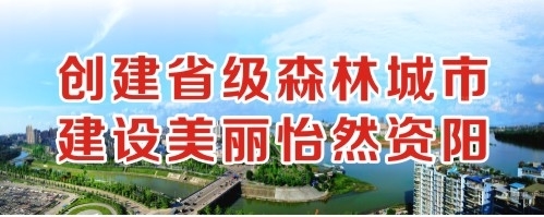 黑女肥婆日批视频创建省级森林城市 建设美丽怡然资阳